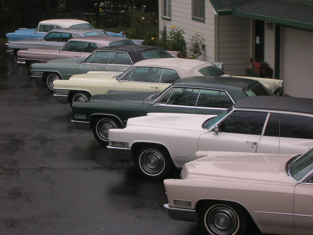 DSCN4546.JPG